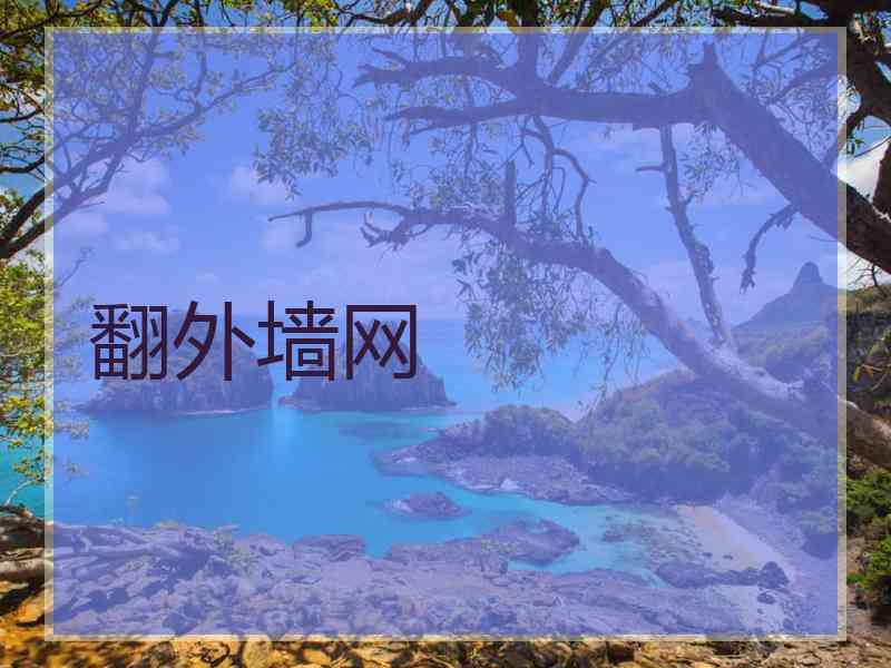 翻外墙网