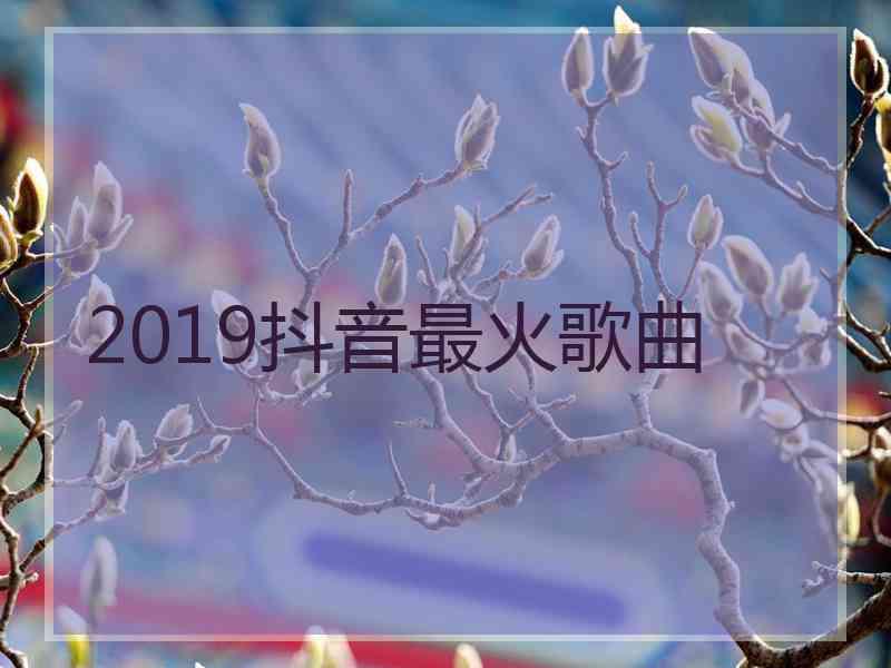 2019抖音最火歌曲