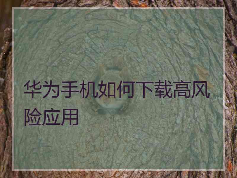 华为手机如何下载高风险应用