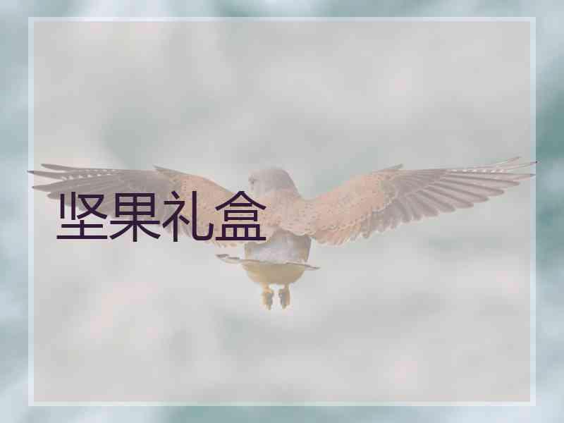 坚果礼盒