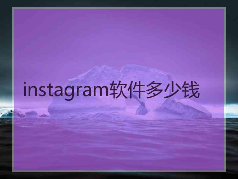 instagram软件多少钱