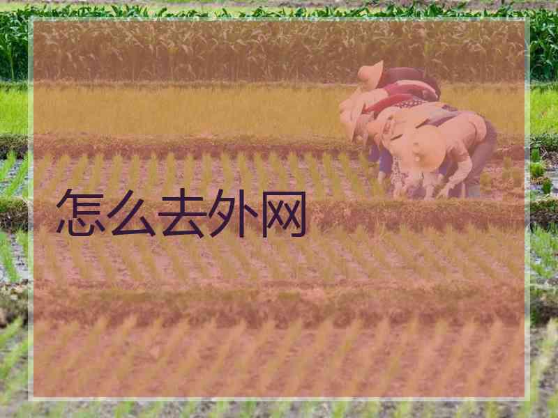 怎么去外网