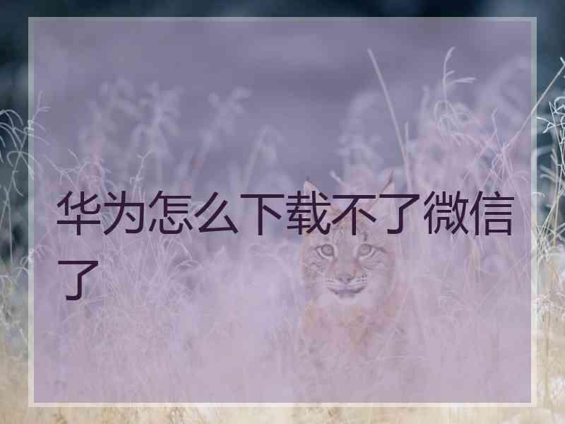 华为怎么下载不了微信了