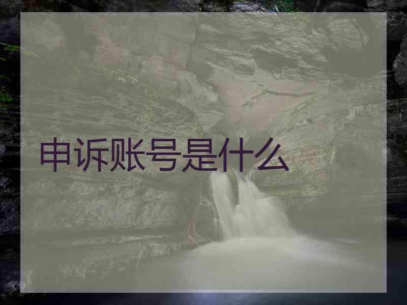 申诉账号是什么