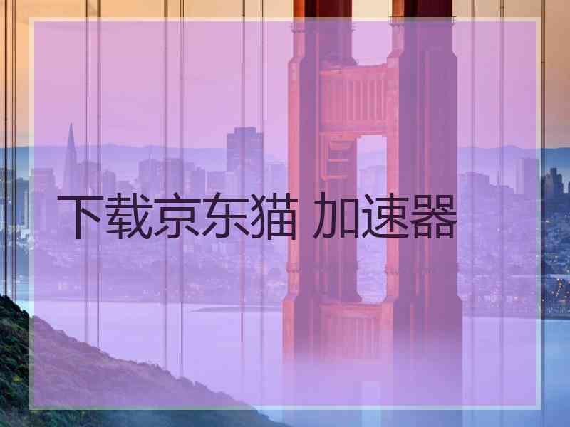下载京东猫 加速器