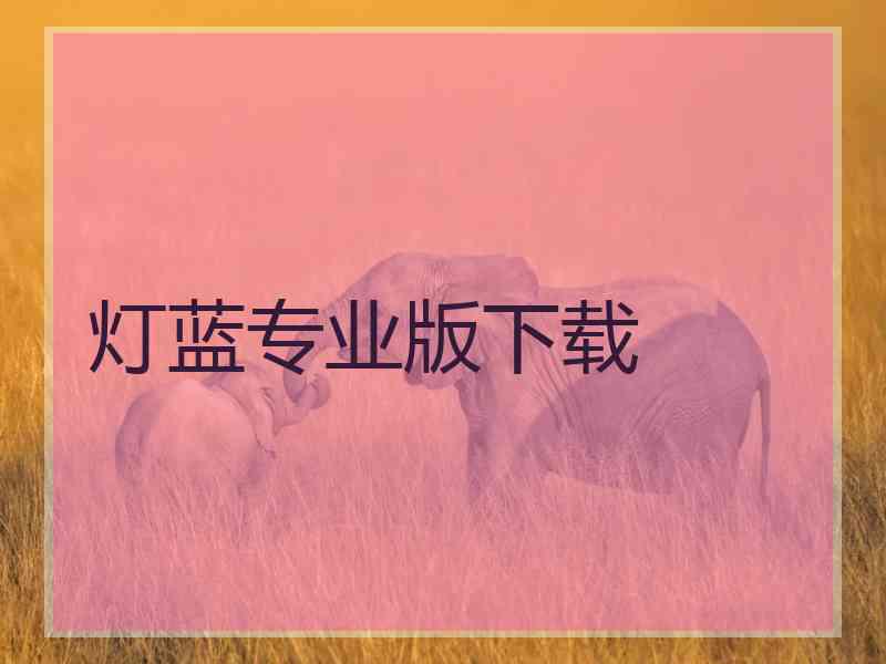 灯蓝专业版下载