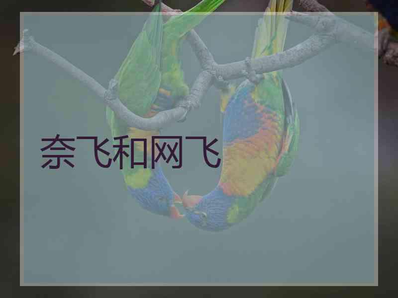 奈飞和网飞