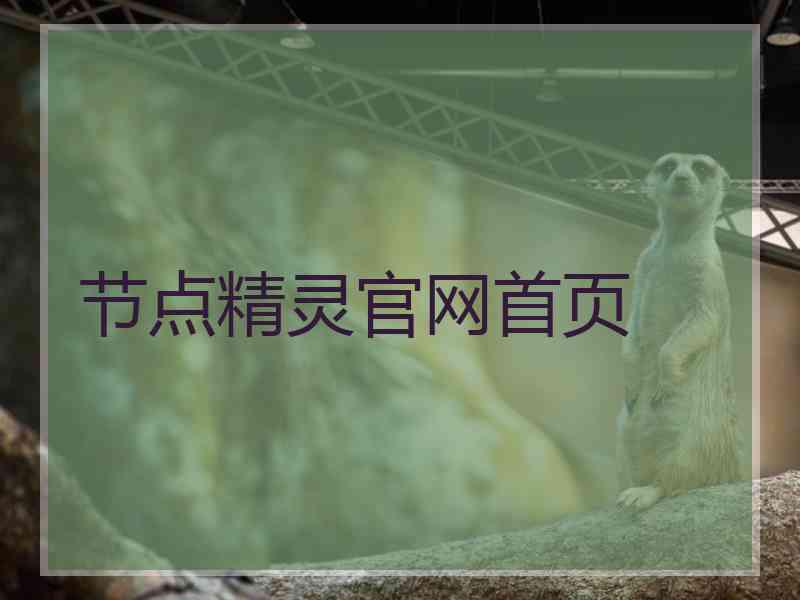 节点精灵官网首页