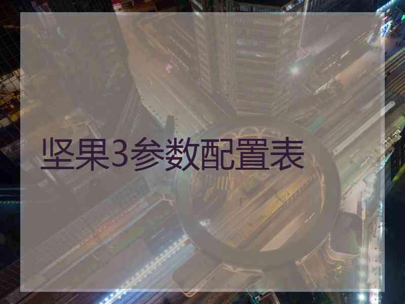 坚果3参数配置表