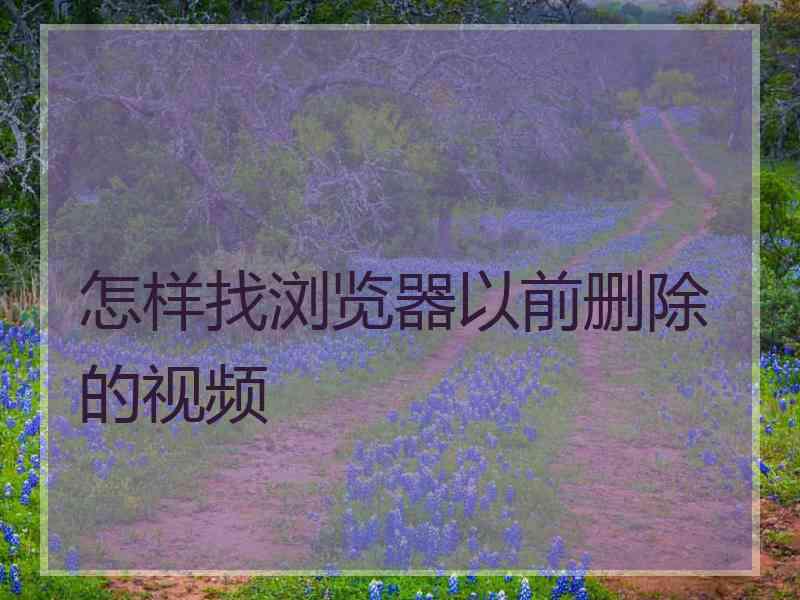 怎样找浏览器以前删除的视频