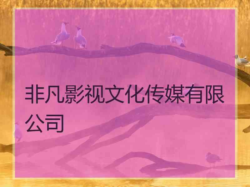 非凡影视文化传媒有限公司