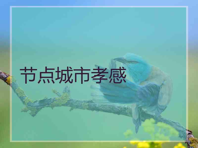 节点城市孝感