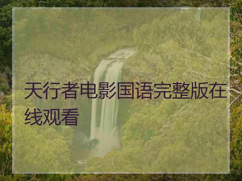 天行者电影国语完整版在线观看