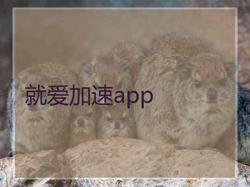 就爱加速app