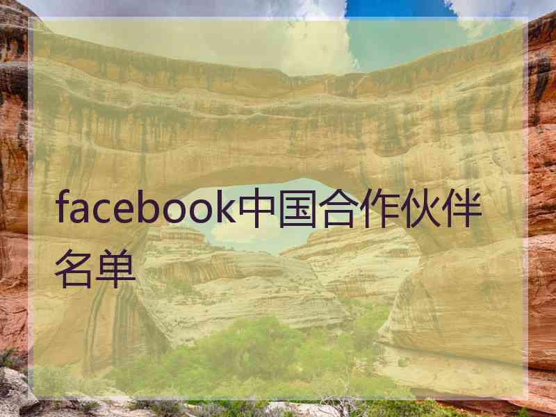 facebook中国合作伙伴名单
