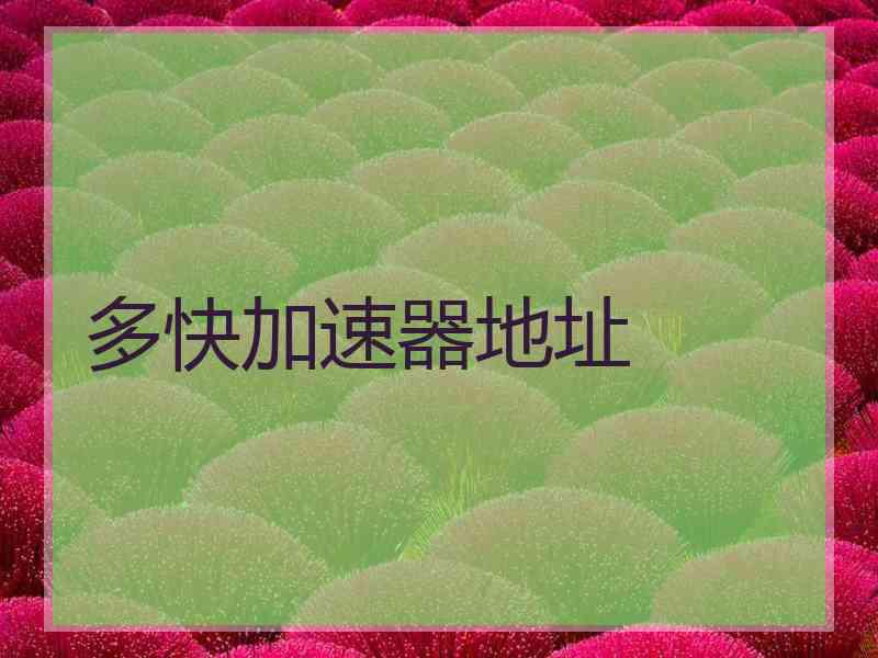 多快加速器地址
