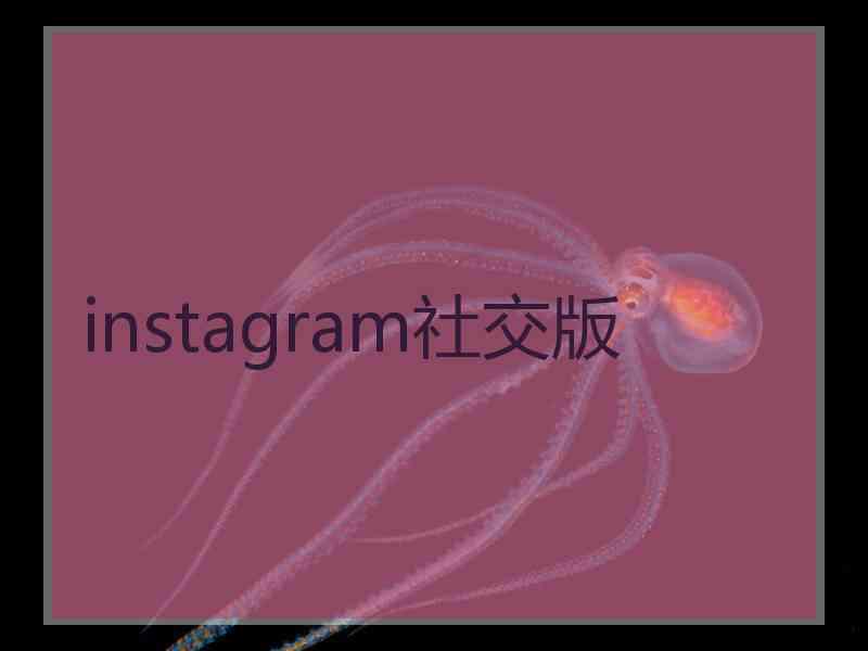 instagram社交版