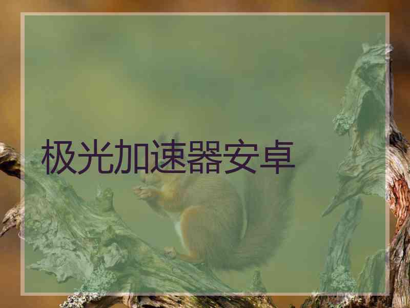 极光加速器安卓