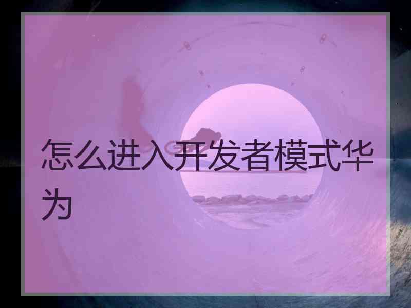 怎么进入开发者模式华为