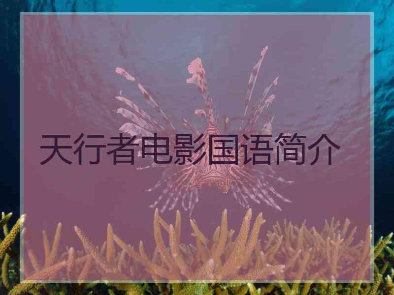 天行者电影国语简介