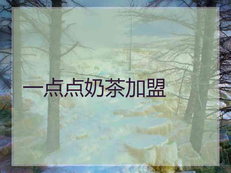 一点点奶茶加盟