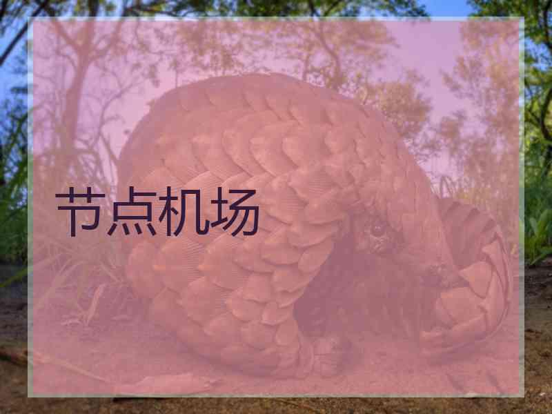 节点机场
