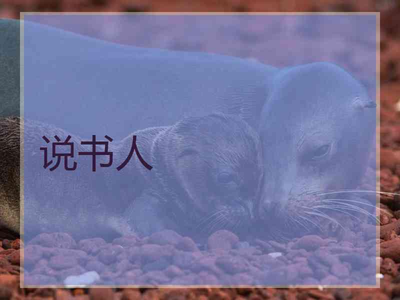 说书人