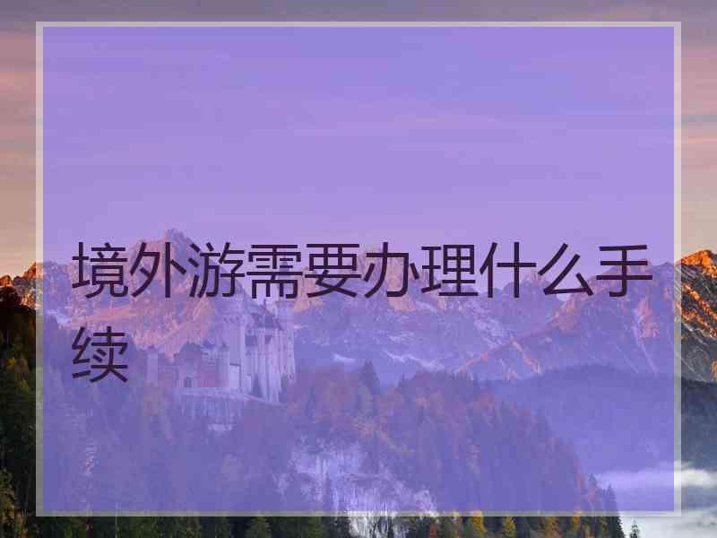 境外游需要办理什么手续