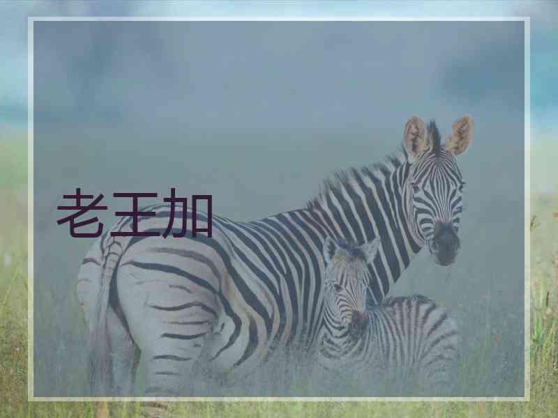 老王加