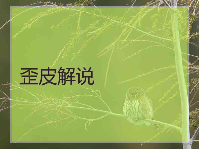 歪皮解说