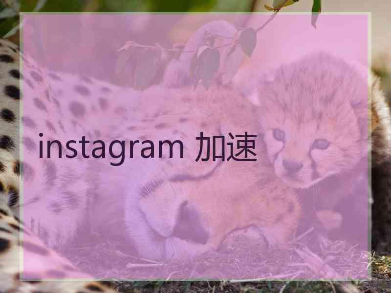 instagram 加速