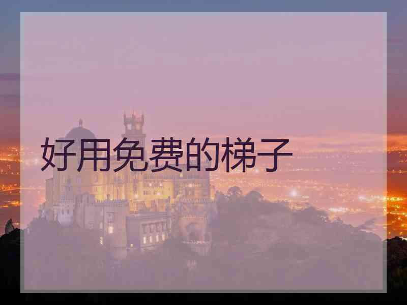 好用免费的梯子