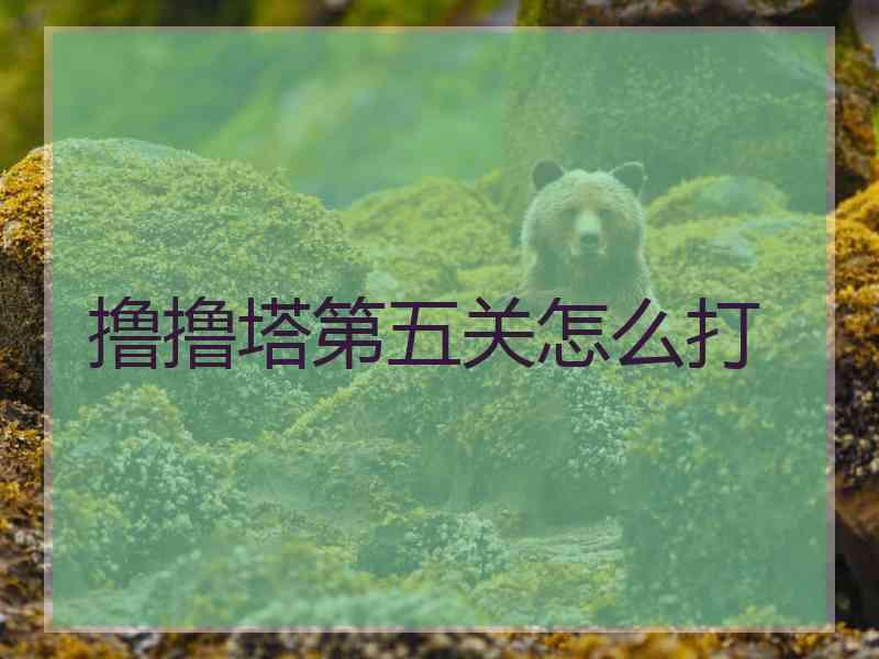 撸撸塔第五关怎么打