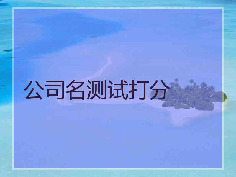 公司名测试打分