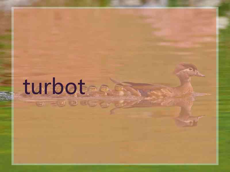 turbot