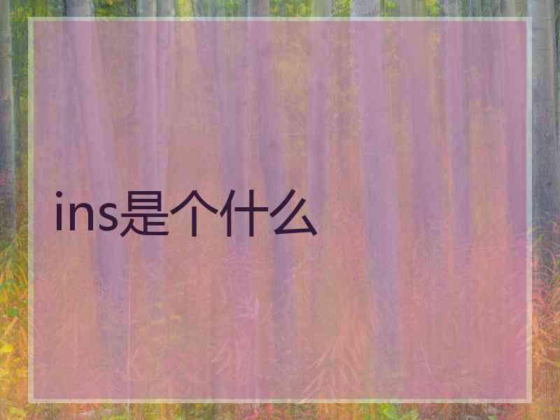 ins是个什么