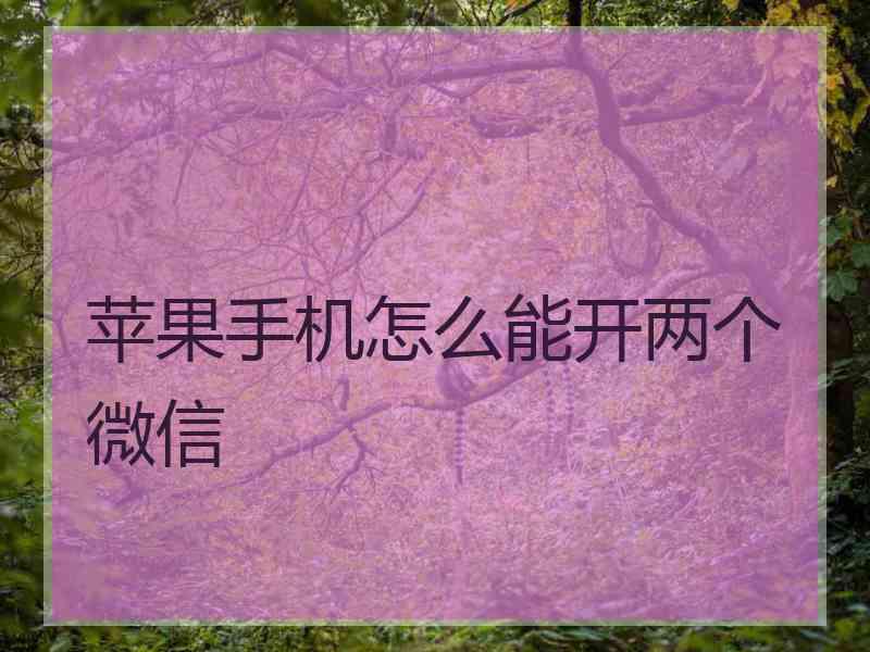 苹果手机怎么能开两个微信