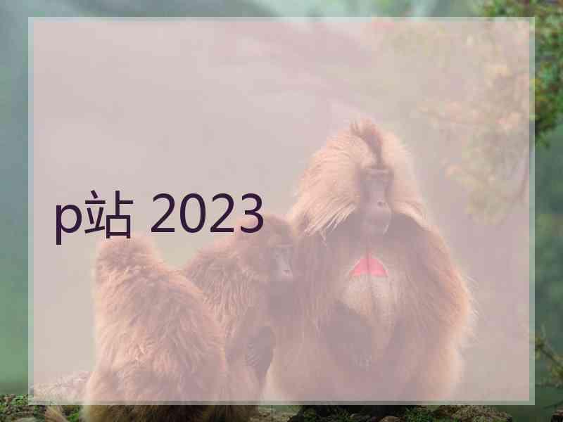 p站 2023