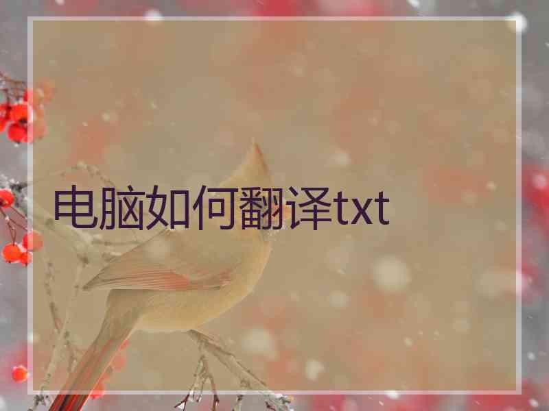 电脑如何翻译txt