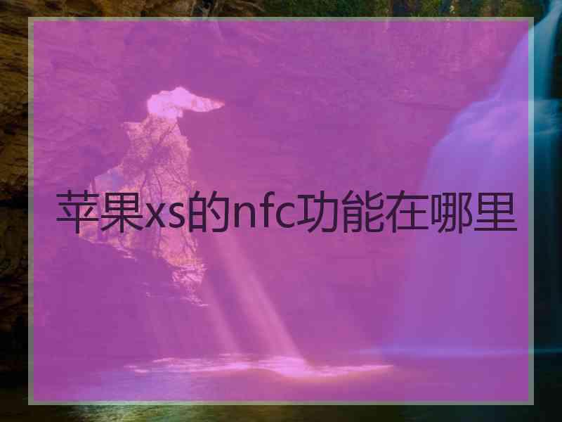 苹果xs的nfc功能在哪里