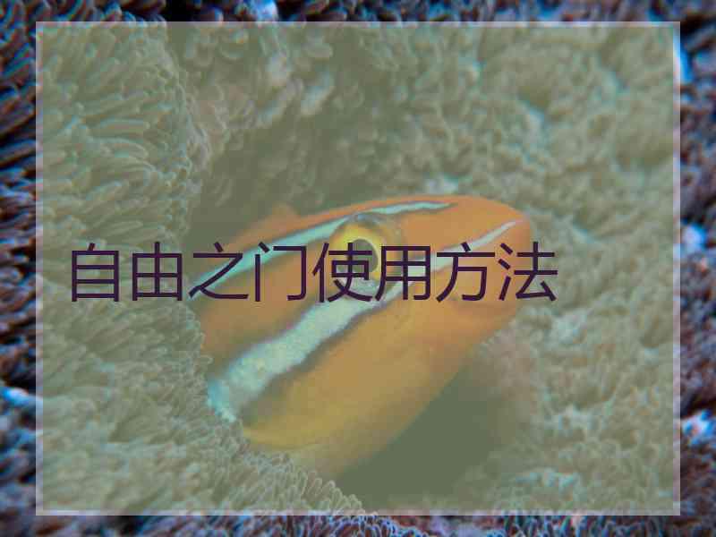 自由之门使用方法