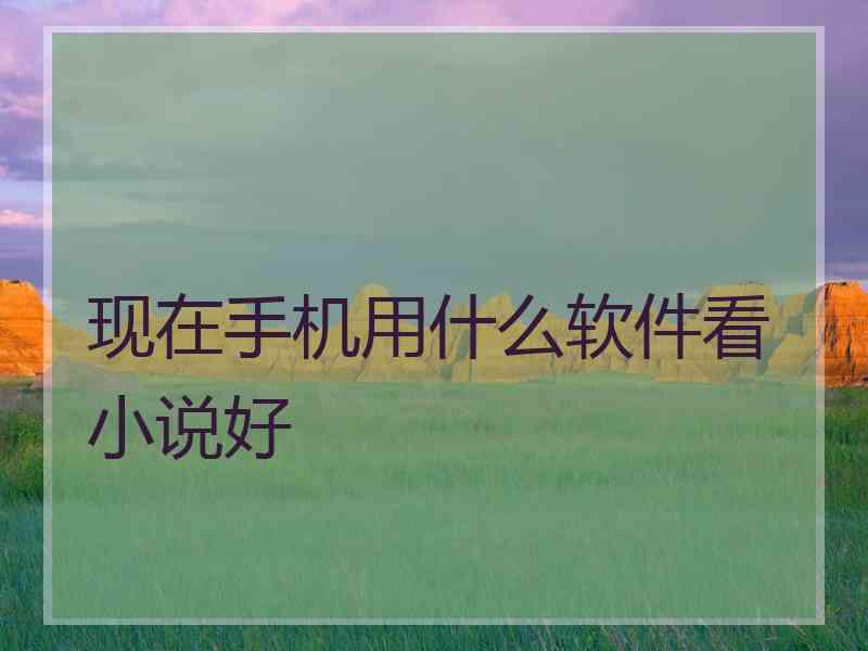 现在手机用什么软件看小说好