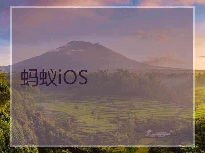 蚂蚁iOS