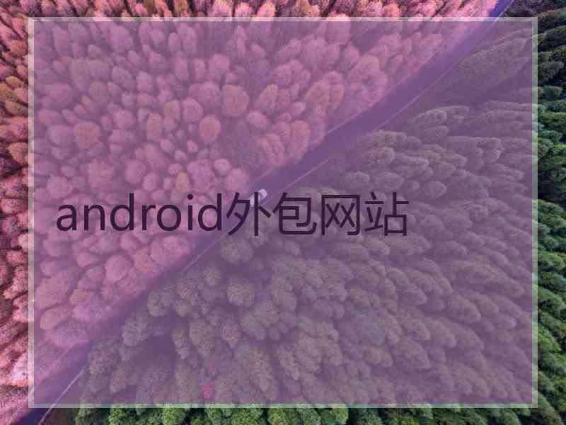 android外包网站