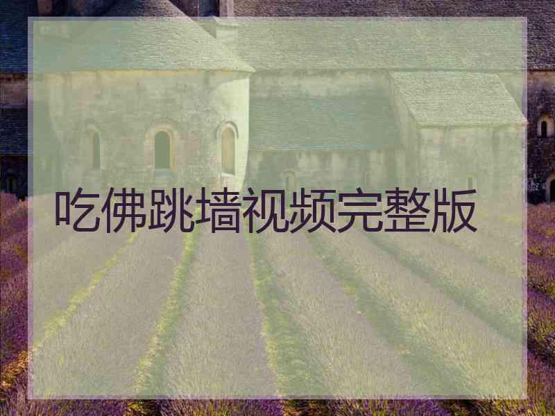 吃佛跳墙视频完整版