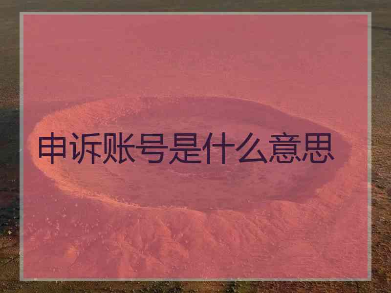 申诉账号是什么意思