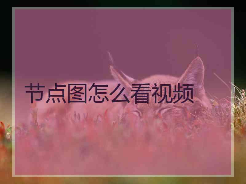 节点图怎么看视频