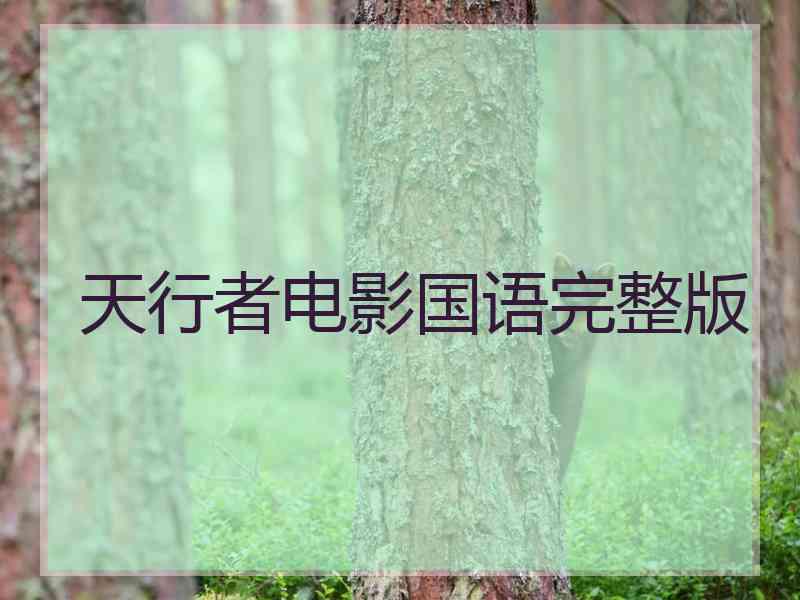 天行者电影国语完整版