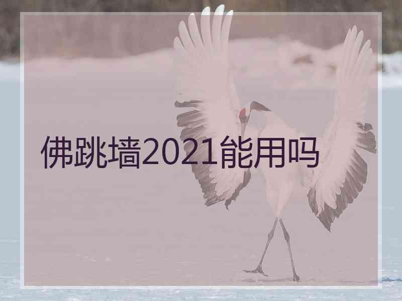 佛跳墙2021能用吗