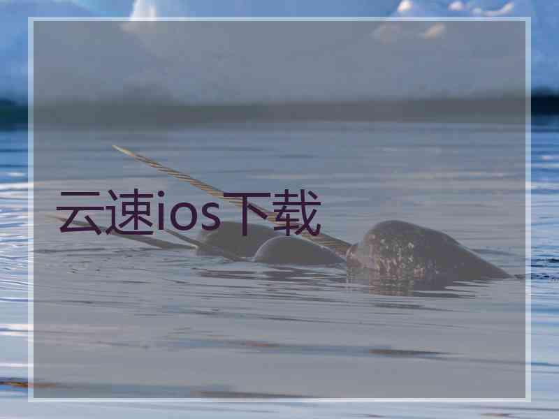 云速ios下载